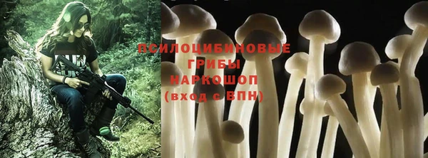 не бодяженный Аркадак