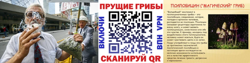Псилоцибиновые грибы мухоморы shop формула Валдай где продают наркотики